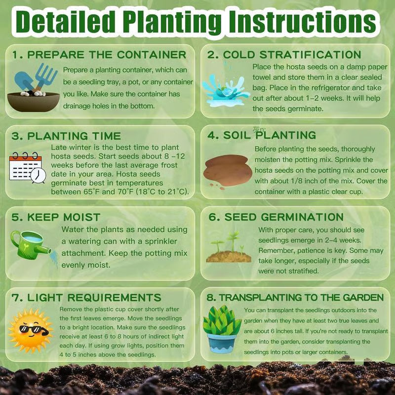 Shade-Tolerant and Cold-Hardy Hosta Flowers